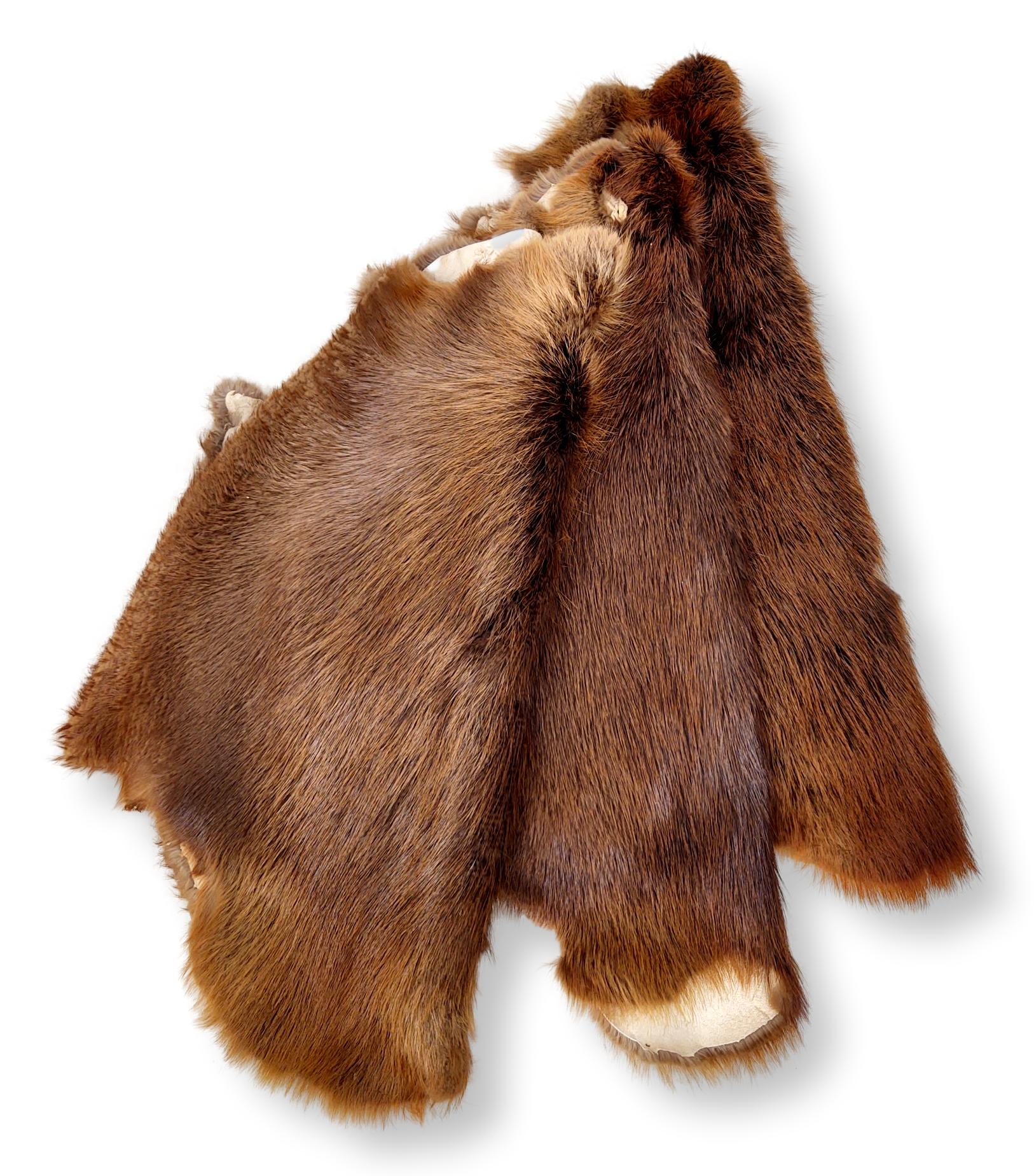 Beaver Brown - klædt pelshud - pels - Image 3