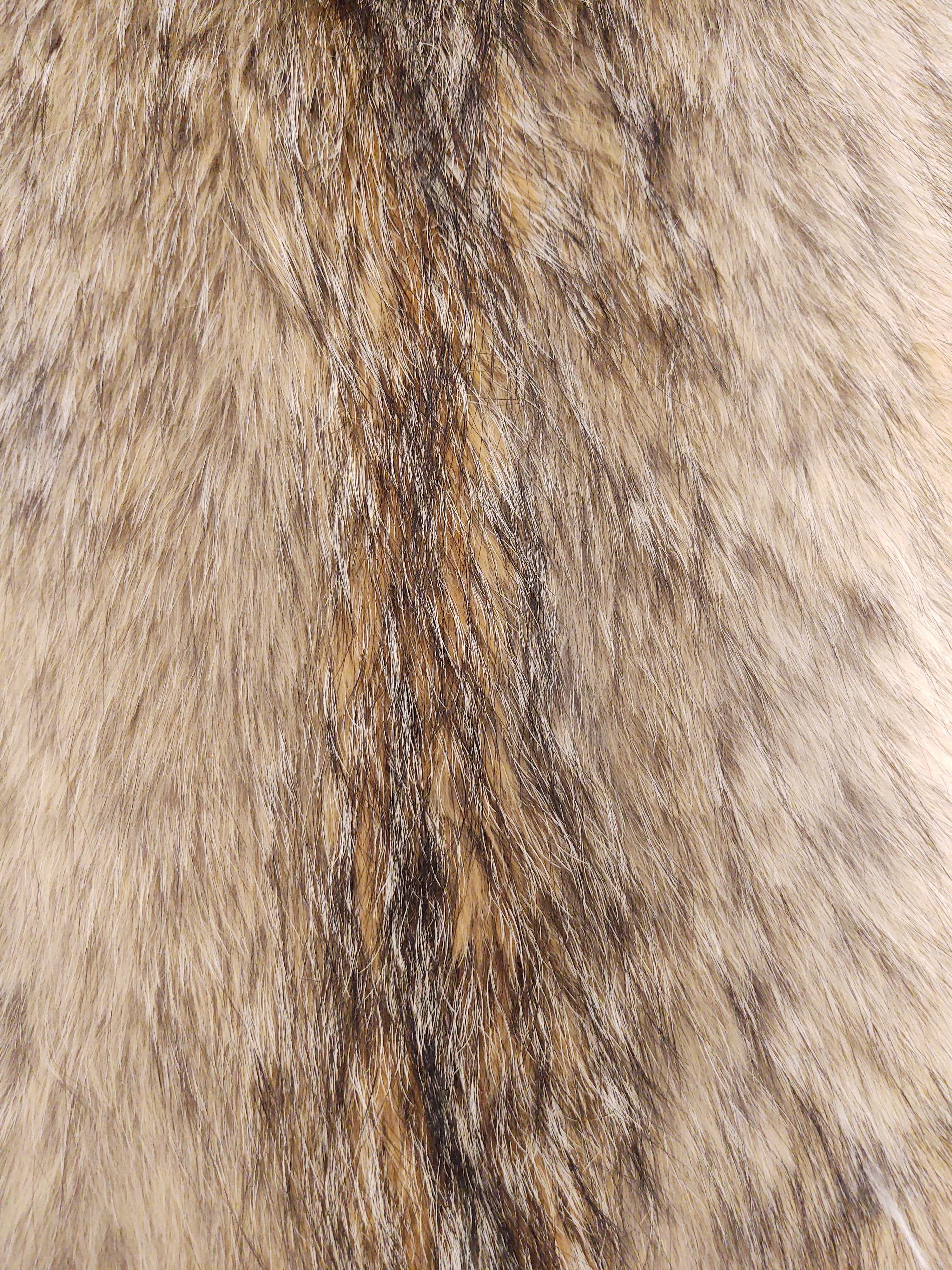 Coyote/ulve skind - Pels - Image 5