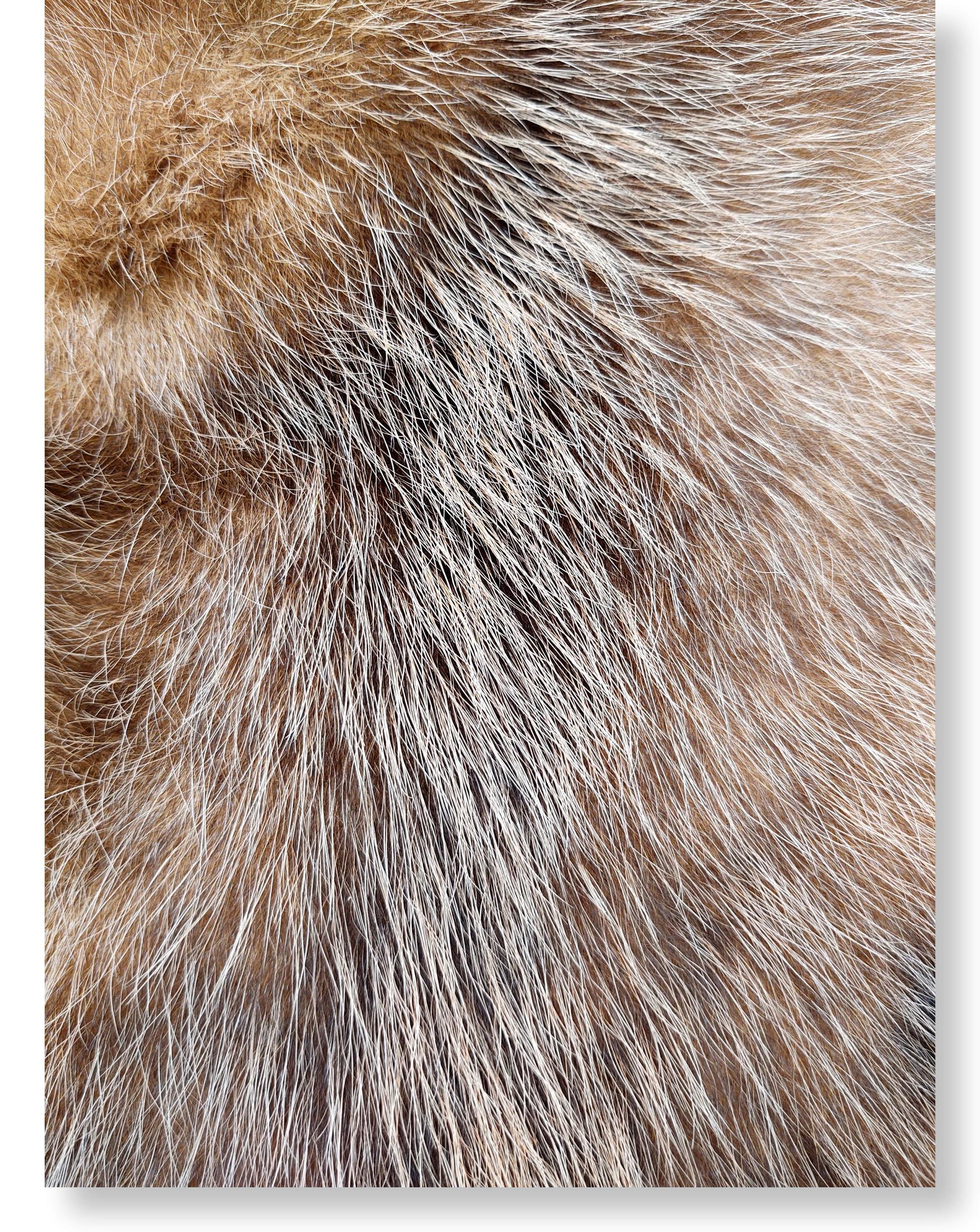 Opossum Brown - Klædt pelshud - pels - Image 9